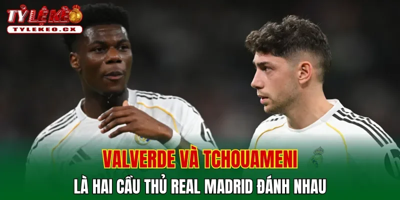 Cầu thủ Real Madrid đánh nhau - Ai có khả năng ra đi? 1 Valverde và Tchouameni là hai cầu thủ Real Madrid đánh nhau