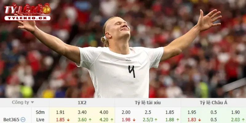 Soi Kèo Brazil vs Na Uy (03h00 ngày 06/07) Vòng 16 Đội World Cup 3 Chi tiết kèo Brazil vs Na Uy